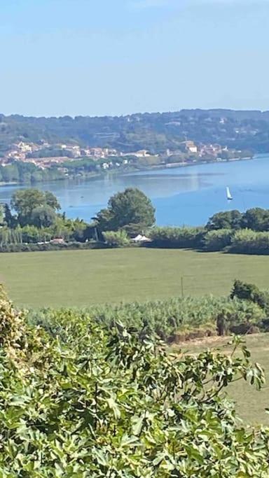 Alele2 Alloggio Turistico Trevignano Romano Bagian luar foto